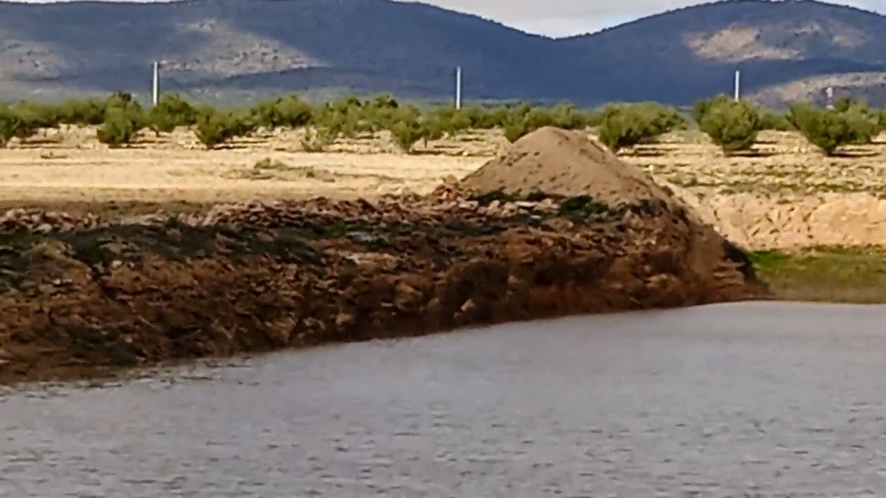 ٢٢ فبراير ٢٠٢٦