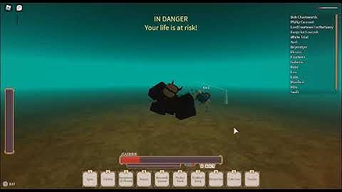 I got attack by a hacker in Rogue lineage