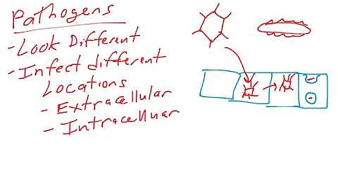 Introduction to the immune system Part 1