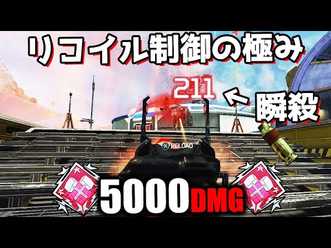 【カヲルさん専用】EERevelation APEX 50 カヲルさん専用】EERevelation APEX 50 Root ZX II Apex Locator