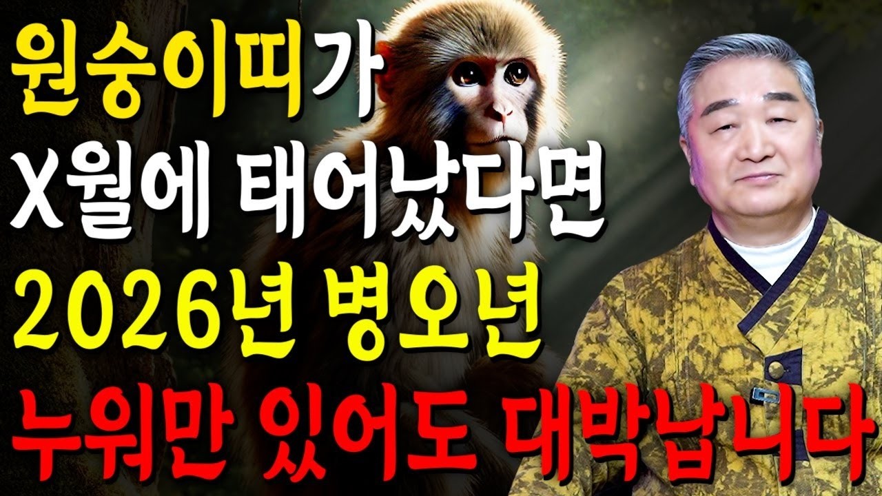 [원숭이띠 운세] X월생이라면 2026년 100% 대박!! 천운 내려왔다? 금전·귀인·문서운 폭발  56·68·80·92년생 원숭이띠운세