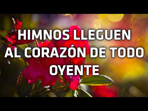 Himnos Lleguen Al Corazon De Todo Oyente