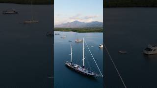 Bali’s most relaxing place. Menjangan Island 🇮🇩🌴 #travelshorts #exploretravel #nature