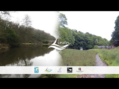 Suppression de deux étangs et remise du cours d'eau en fond de vallée - Bassin versant du Linon