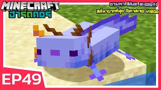 ตามหา Axolotl สีที่หายากที่สุด | Minecraft ฮาร์ดคอร์ 1.19 (EP49)