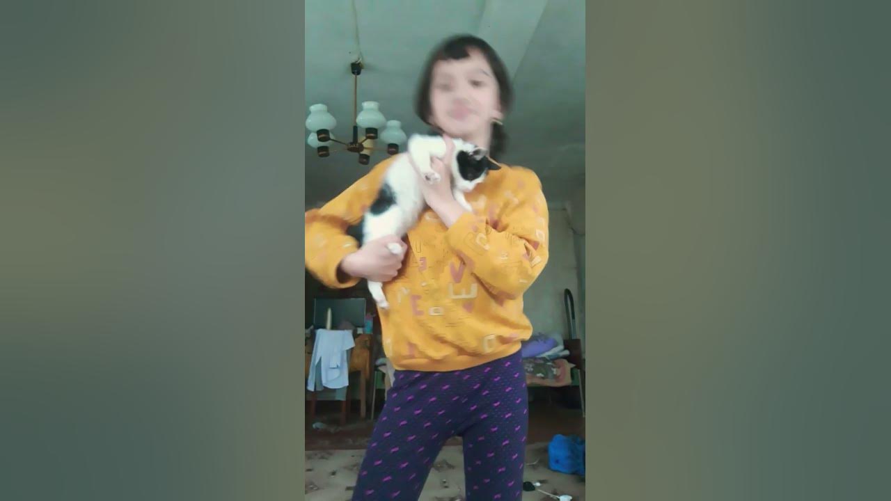 мой котёнок вообще не сидит на одном месте - YouTube