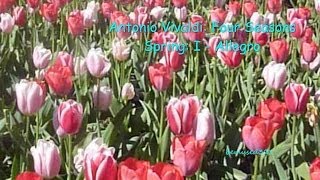 Vivaldi Four Seasons Spring I Allegro Vivaldi Four Seasons Spring I Allegro