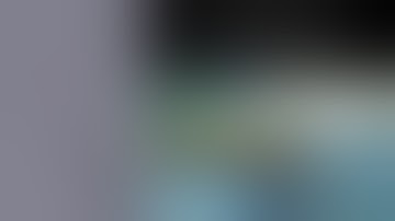 TREO Single Fenestration Custom Made Stent Graft