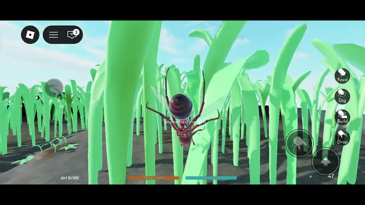 14 de fevereiro de 2026