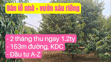 Nhà vườn sầu riêng bán lỗ, ngay khu dân cư, đất đỏ bazan đầu tư đầy đủ, bất động sản đất rẫy