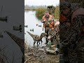 A Dinosaur Just Became a Duck Retriever… #ai #aidinosaur #aicreature #vfx #Dinosaurs