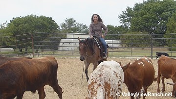 Bri Osage Wiggy - working cows! - ValleyViewRanch.net