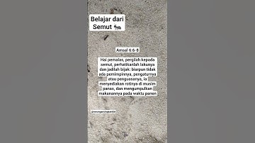 Hai pemalas, pergilah kepada semut perhatikanlah lakunya dan jadilah bijak #ayatalkitab #gba #firman