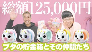 ブタの貯金箱とその仲間たち | Qualia
