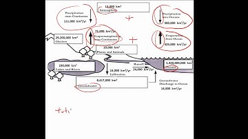 Reservoirs, Fluxes and Residence Times in the Water Cycle