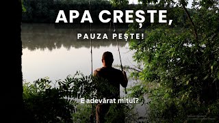 Apa crește, pauză pește? – 2 zile de muncă in Delta Dunării. Răspunsul e mai complicat.