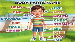 Body Parts Name Learning for Toddlers and Preschoolers | Fun Educational Video