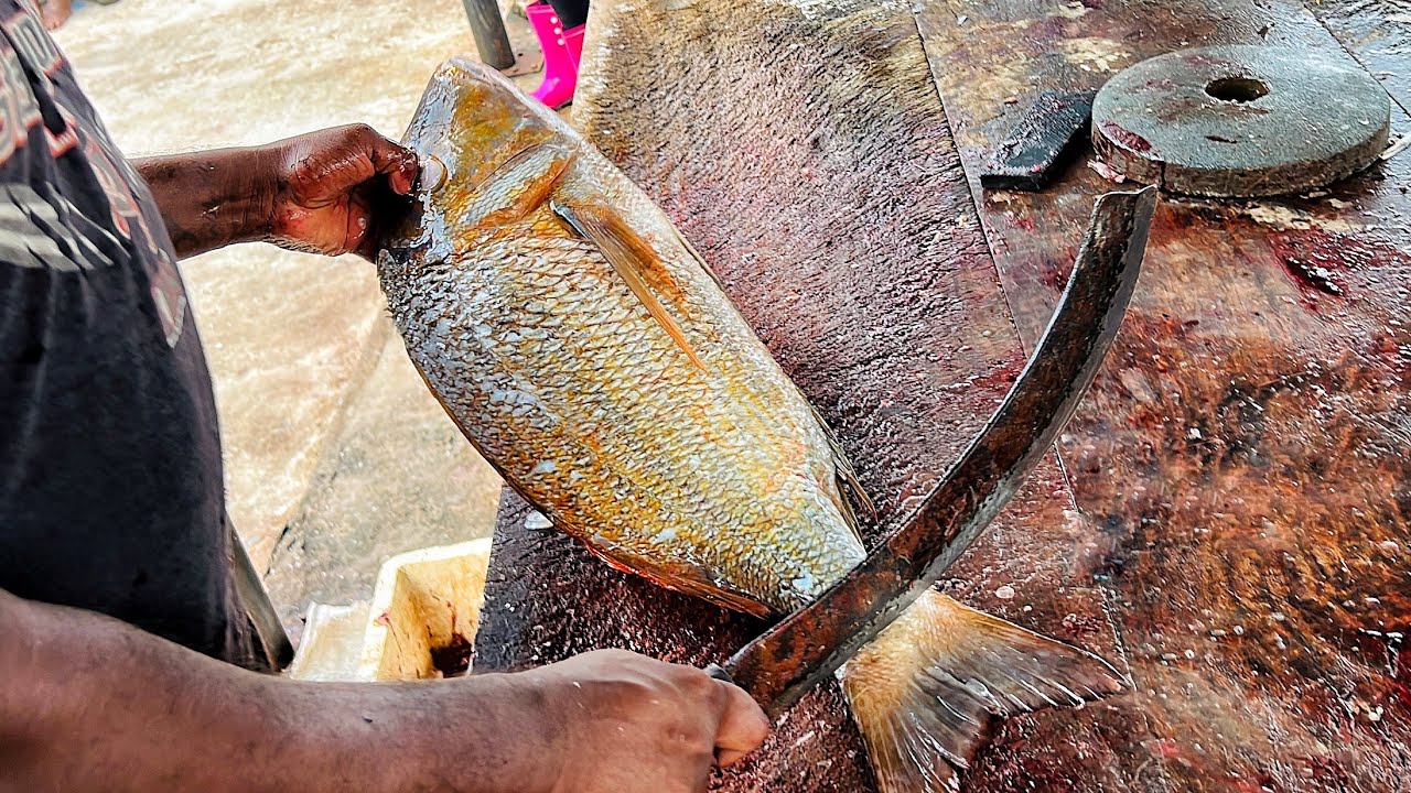 $28 Worth Huge Spangled Emperor Fish Cutting Skills | Live Emperor Fish Cutting| Cutting with Bones