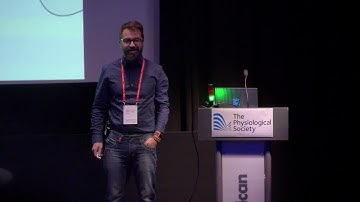 Sleep function and control in Drosophila melanogaster - Giorgio F Gilestro