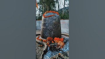 mere Shankara Hansraj Raghuwanshi Himachal diaries 04 #shorts मेरे शंकरा