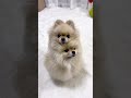 「縁の下の力持ち」 #funny #foryou