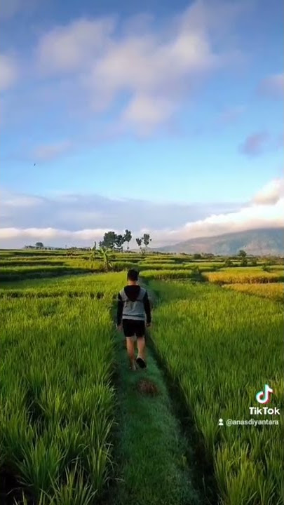 Lalo Ngaro #Lombok #Youtuberlombok #lomboktiktok #lombokisland #lombokviral #fyp #lalongaro #sasak
