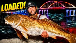 This Bridge Was LOADED With Giant Fish