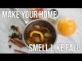 Tip tuesday diy fall and winter simmer pot  natural home scent