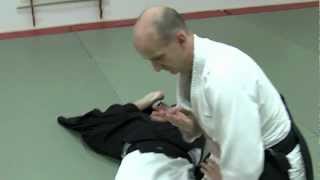 Sven Lundqvist - 5 Dan Aikido