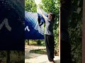 How its made logo on a fabric nuishime shibori tie dye technique