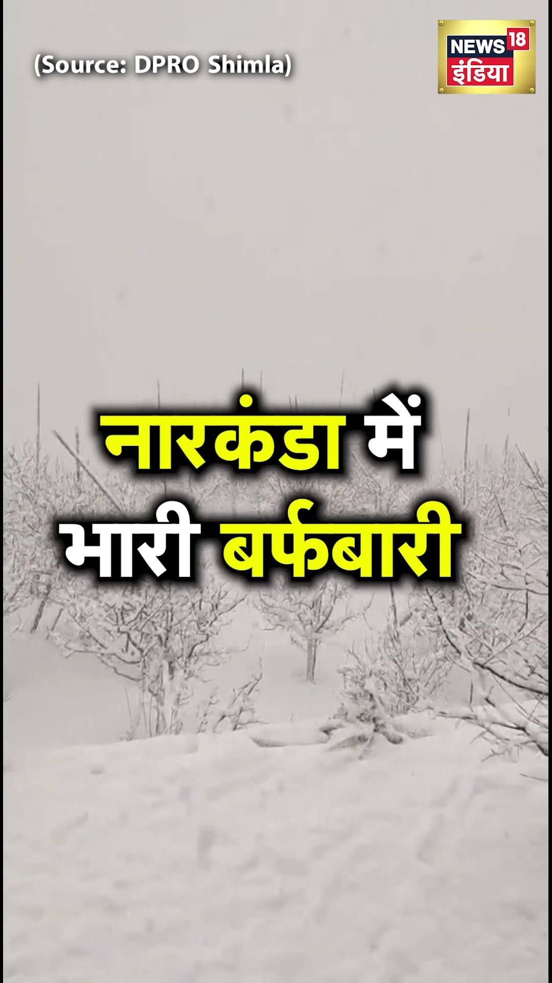 Himachal Pradesh के Narkanda में भारी बर्फबारी | N18S
