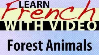 ⁣Learn French with Videos - Forest Animals