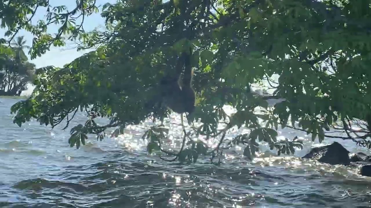 Paseo por las Isletas en el Lago Cocibolca Nicaragua, Febrero 2026