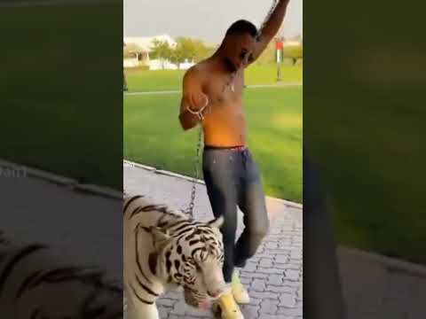 رايحين لفين ده انا الملك  