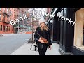 back in new york city + dumpling recipe | Foodievlog