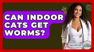 Can Indoor Cats Get Worms? - Ask A Pet Vet
