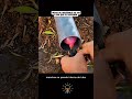 ciência #viralshort #fatoscuriosos #viral