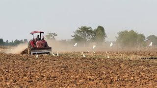 Tractor and White crane birds - Nimitt Excavator
