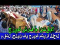 لغز الجريمة عندما يتحول الحب إلى كابوس قصة رجلين تنتهي بالدم قضايا تم حلها لغز الجريمة عندما يتحول الحب إلى كابوس قصة رجلين تنتهي بالدم قضايا تم حلها