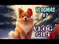 Vlog 314   vlogmas 07 anniversaire noel et les cadeauuuuuux 