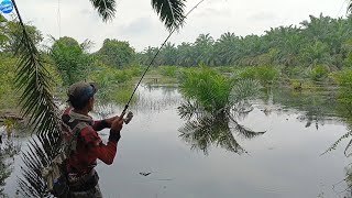 MENCARI REZEKI DI KEBON ORANG YG TERKENA BANJIR