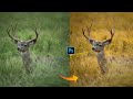Change your background & grass colour in photoshop // colour change #photoshop #short #editing