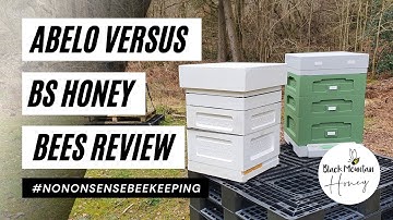 Abelo vs BS Honey Bees Poly Hive Review