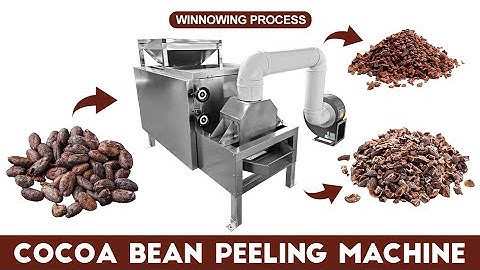 Cocoa Winnower Machine|Cocoa Peeling Machine|Cocoa Bean Skin Peeler|Cocoa Bean Shelling Machine