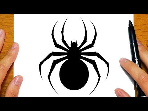 CÓMO DIBUJAR UNA ARAÑA PARA HALLOWEEN | Dibujos para dibujar hqdefault