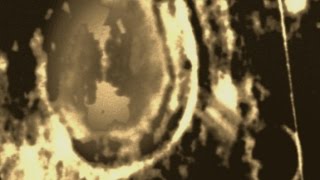 Alien Complex Found Near Smyths Sea Crater 2014 HD
