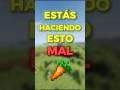 El ERROR que comete el 90% de jugadores de MINECRAFT
