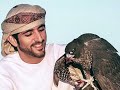 سكر زياده يارا فزاع 