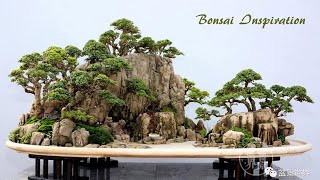 INSPIRASI Bonsai Gaya / Bentuk PENJING - Internasional