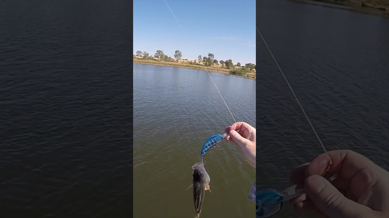 Trolling for RedFin on homemade lure at Lake Eppalock 
